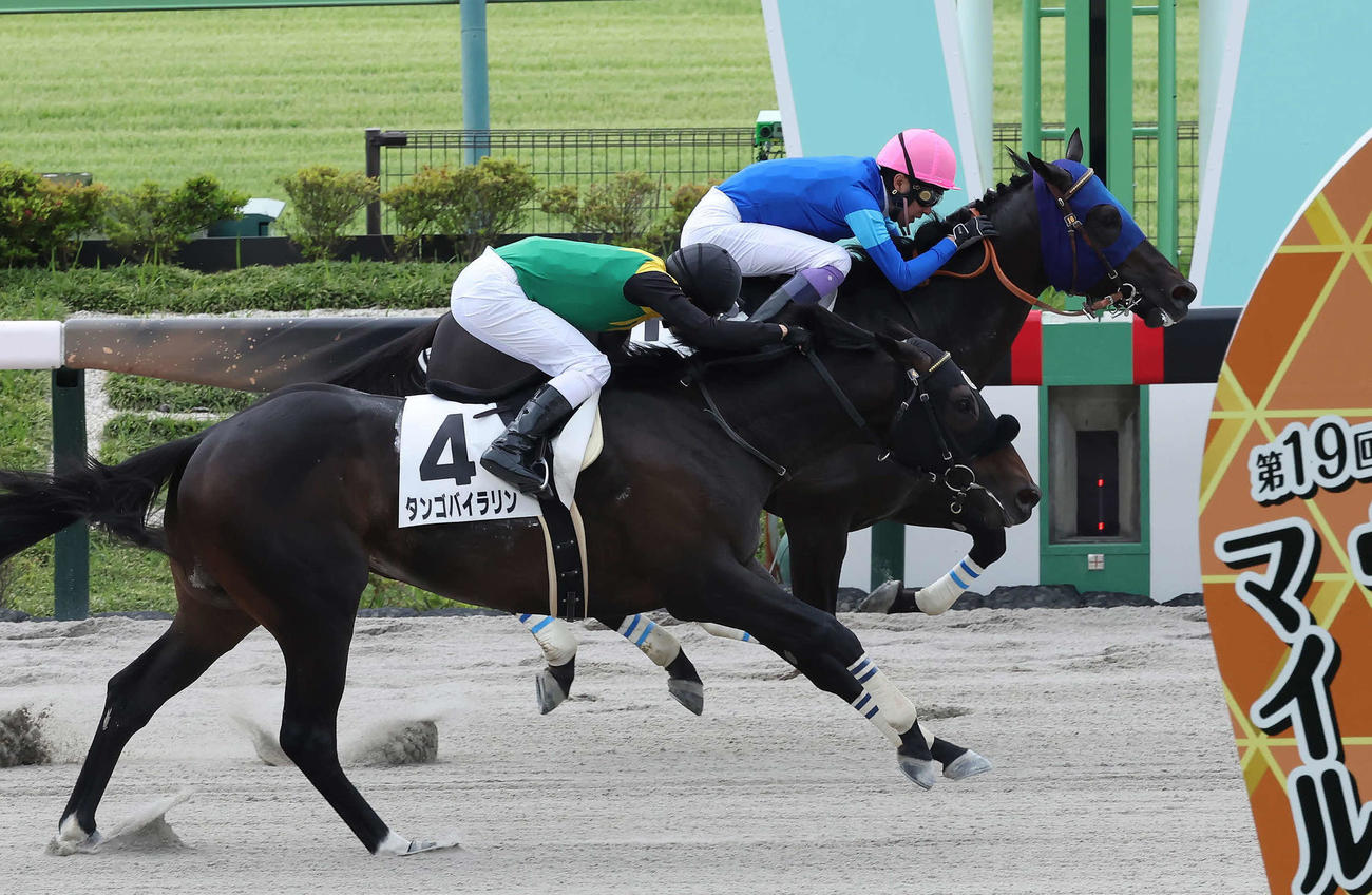 5月12日、ゴール手前で差し返し東京2Rを制したウェットシーズン。武豊騎手はJRA通算4500勝達成