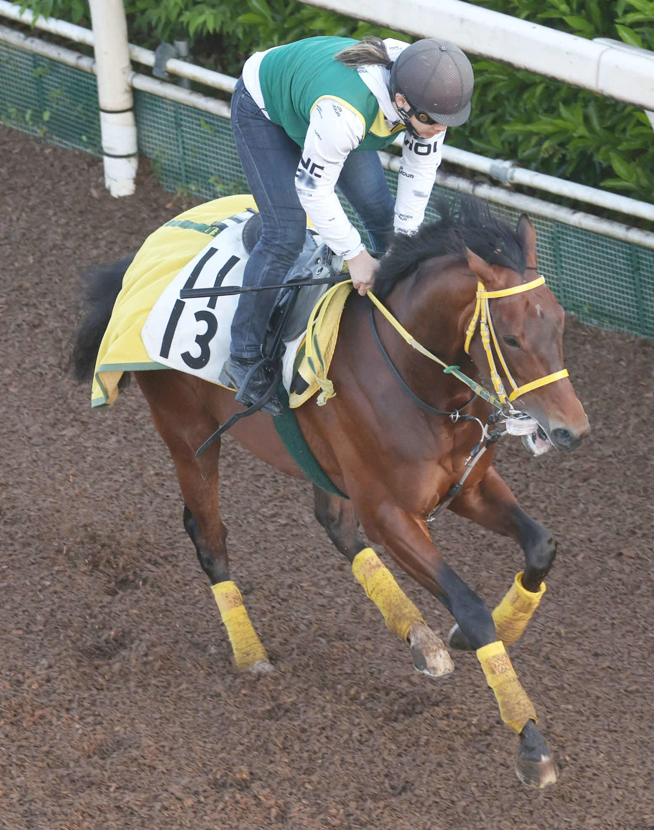 坂路を駆け上がるゼットリアン