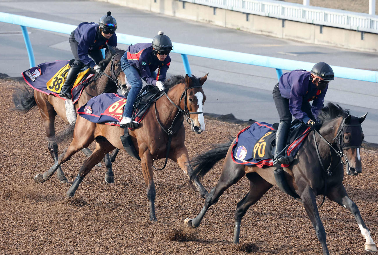 チェルヴィニア（中央）は美浦ウッドをヒップホップソウル（左）などと3頭併せで追い切られた