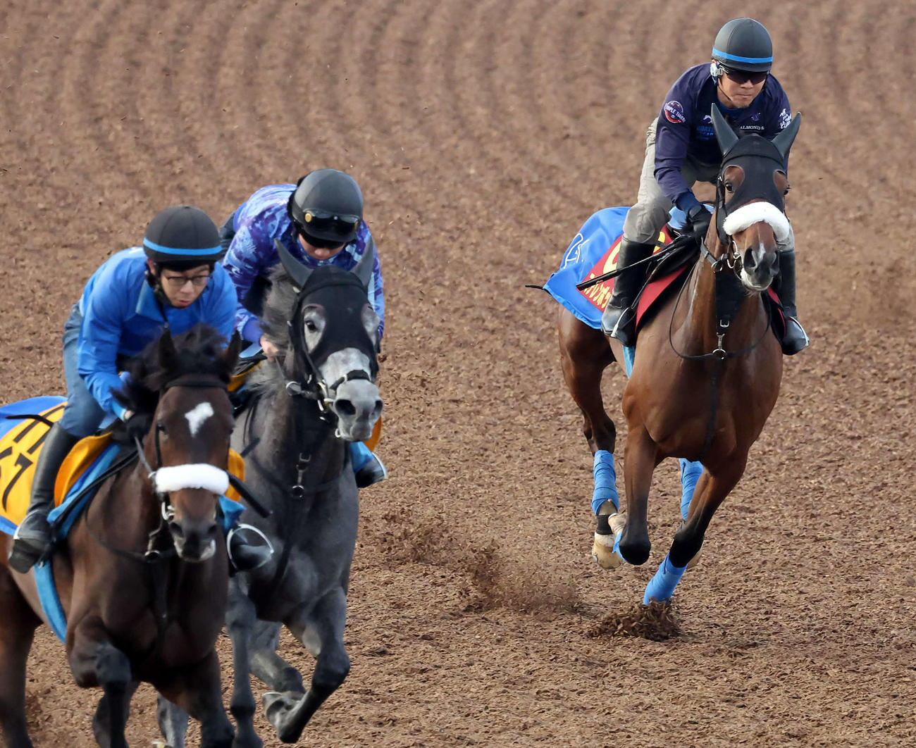 ステレンボッシュ（右）は美浦ウッドを3頭併せで追い切られた（撮影・丹羽敏通）