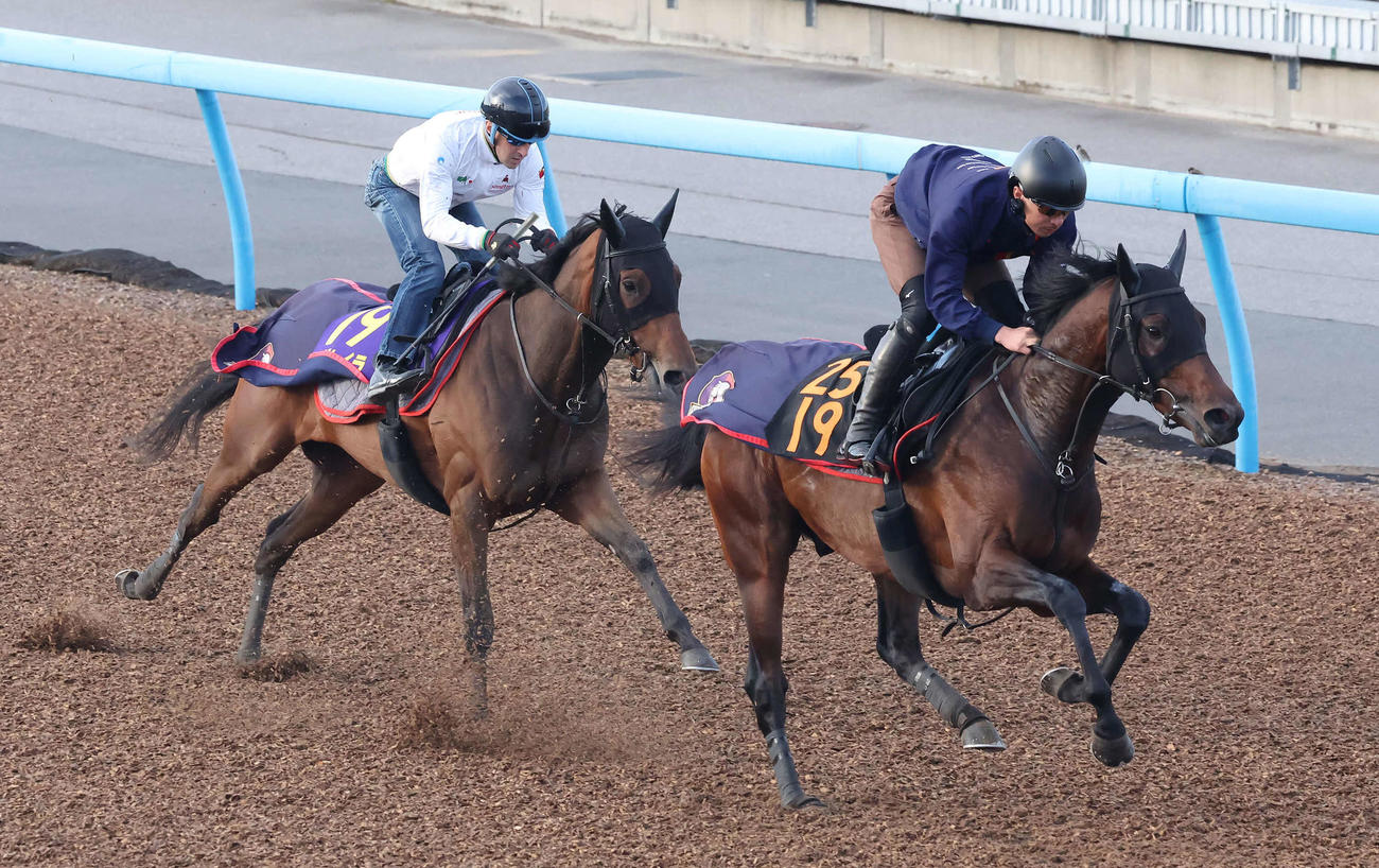 レガレイラ（左）はルメール騎手を背に美浦ウッドでアンパドゥと併せて追い切られた（撮影・丹羽敏通）