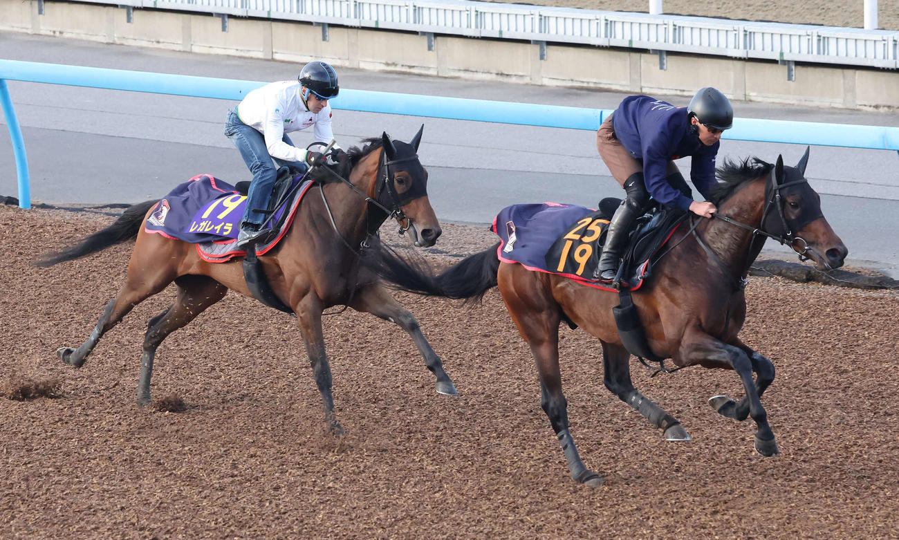レガレイラ（左）はルメール騎手を背に美浦ウッドでアンパドゥと併せて追い切られた（撮影・丹羽敏通）