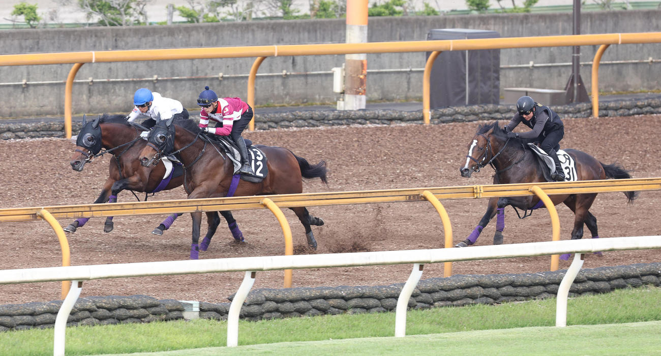 Cウッドをロードフォアエース（中央）とジュンツバメガエシ（右）と3頭併せで追い切るジャスティンミラノ