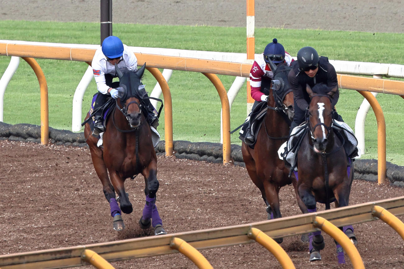 荻野琢磨騎手が騎乗し（レースは戸崎）、先行する併せ馬を追走するジャスティンミラノ（左）