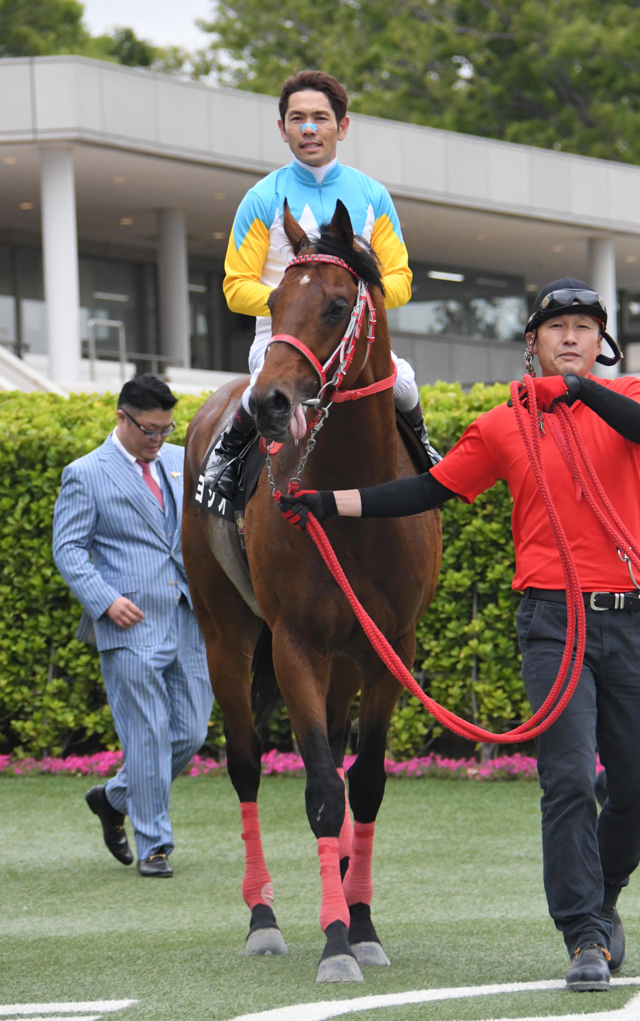 下総ステークスを快勝したヨシオと戸崎圭太騎手（2018年4月14日撮影）