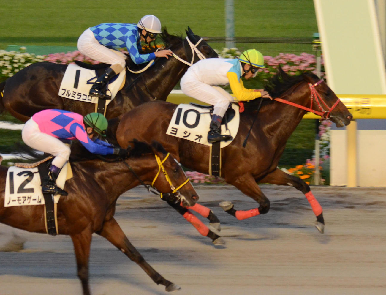 3歳上1000万戦を快勝したヨシオと戸崎圭太騎手（2016年10月22日撮影）
