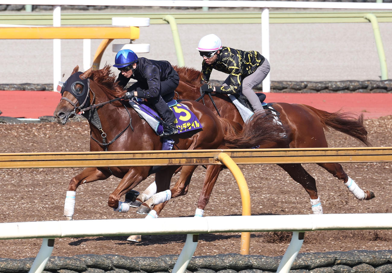 横山典騎手を背にCウッドをパッシングシャワー（右）と併せ馬で追い切るダノンデサイル（撮影・白石智彦）