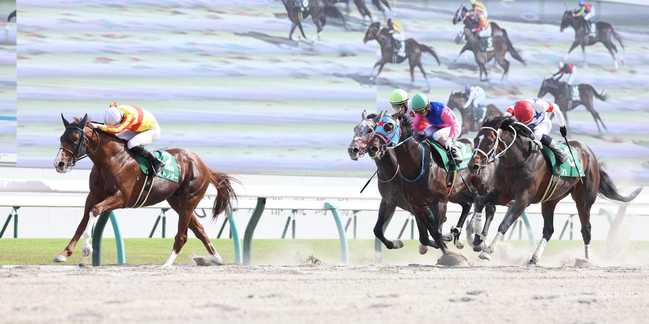 逃げ切って平安Sを制したミトノオー（左）（撮影・白石智彦）