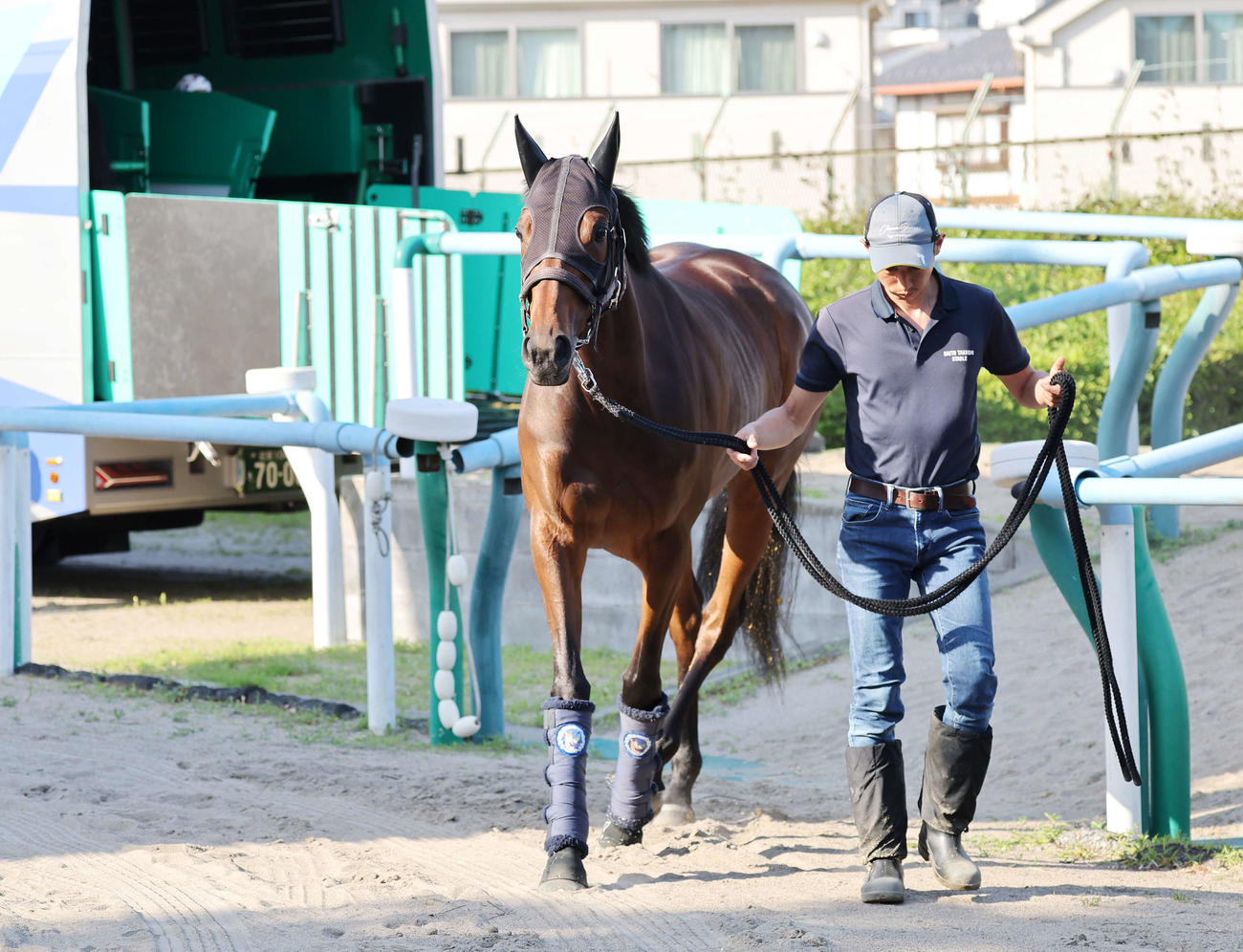 東京競馬場に到着したタガノエルピーダ（撮影・鈴木正人）