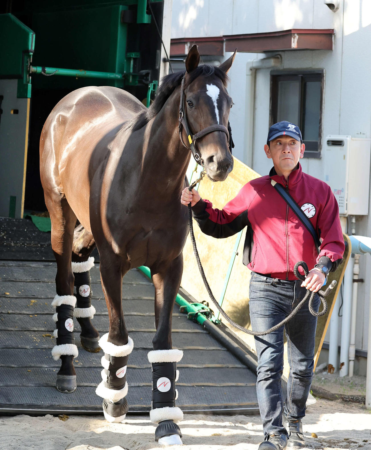 東京競馬場に到着したクイーンズウォーク（撮影・鈴木正人）