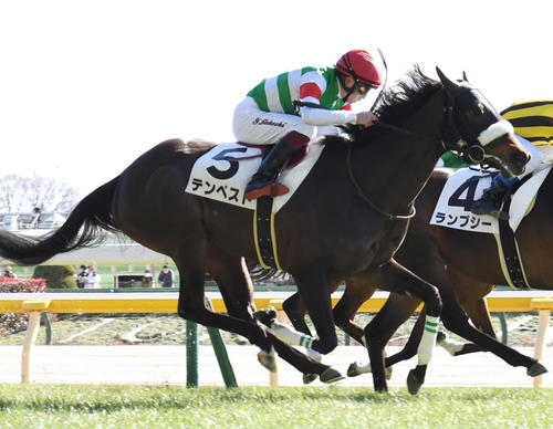 シーザリオ　新馬戦　寒竹賞　単勝　馬券　メイクデビュー　JRAオッズカード ヴィクトリアMで単勝万馬券的中のウマ娘声優・佐藤榛夏 シーザリオ