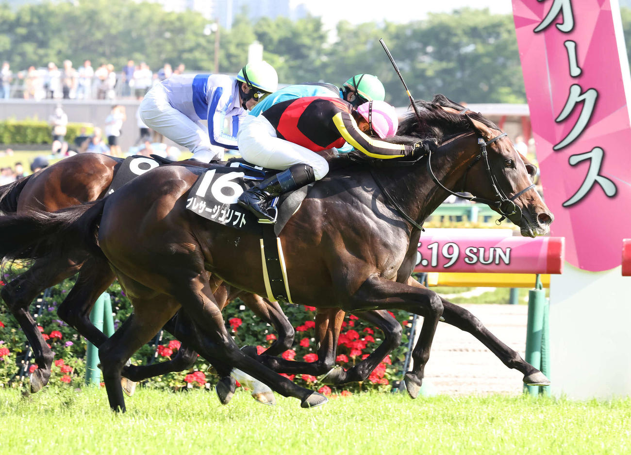 東京11R、メイSを制したプレサージュリフトとルメール騎手（撮影・丹羽敏通）