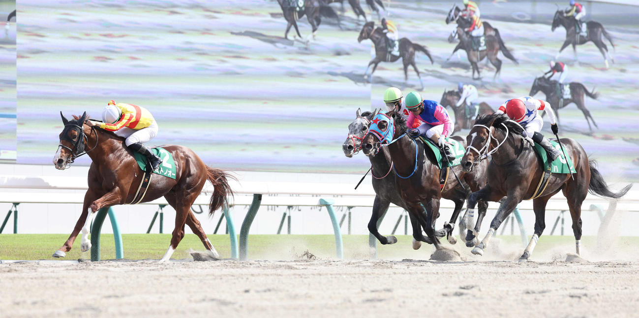 京都11R、逃げ切って平安Sを制したミトノオー（左）（撮影・白石智彦）