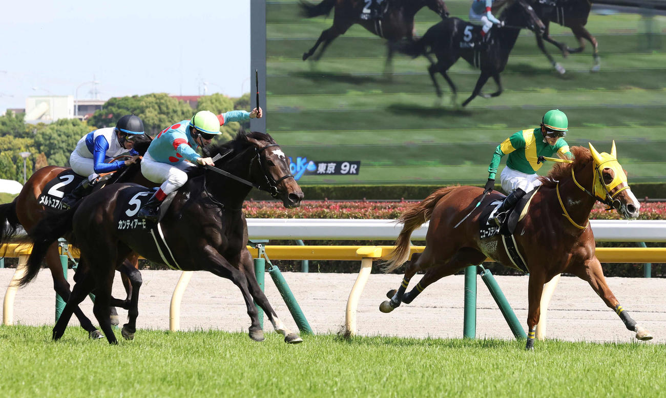 東京9R、カーネーションCを制したカンティアーモとルメール騎手（左）。右は2着ニューステソーロ