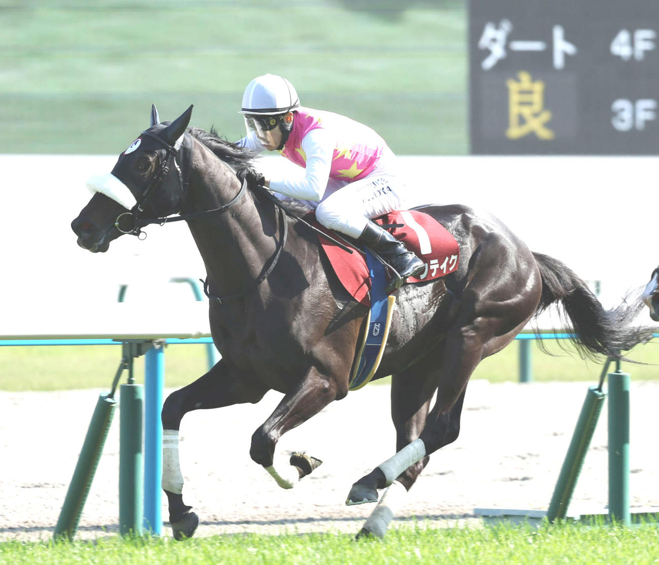 ジューンテイク（2024年5月4日撮影）