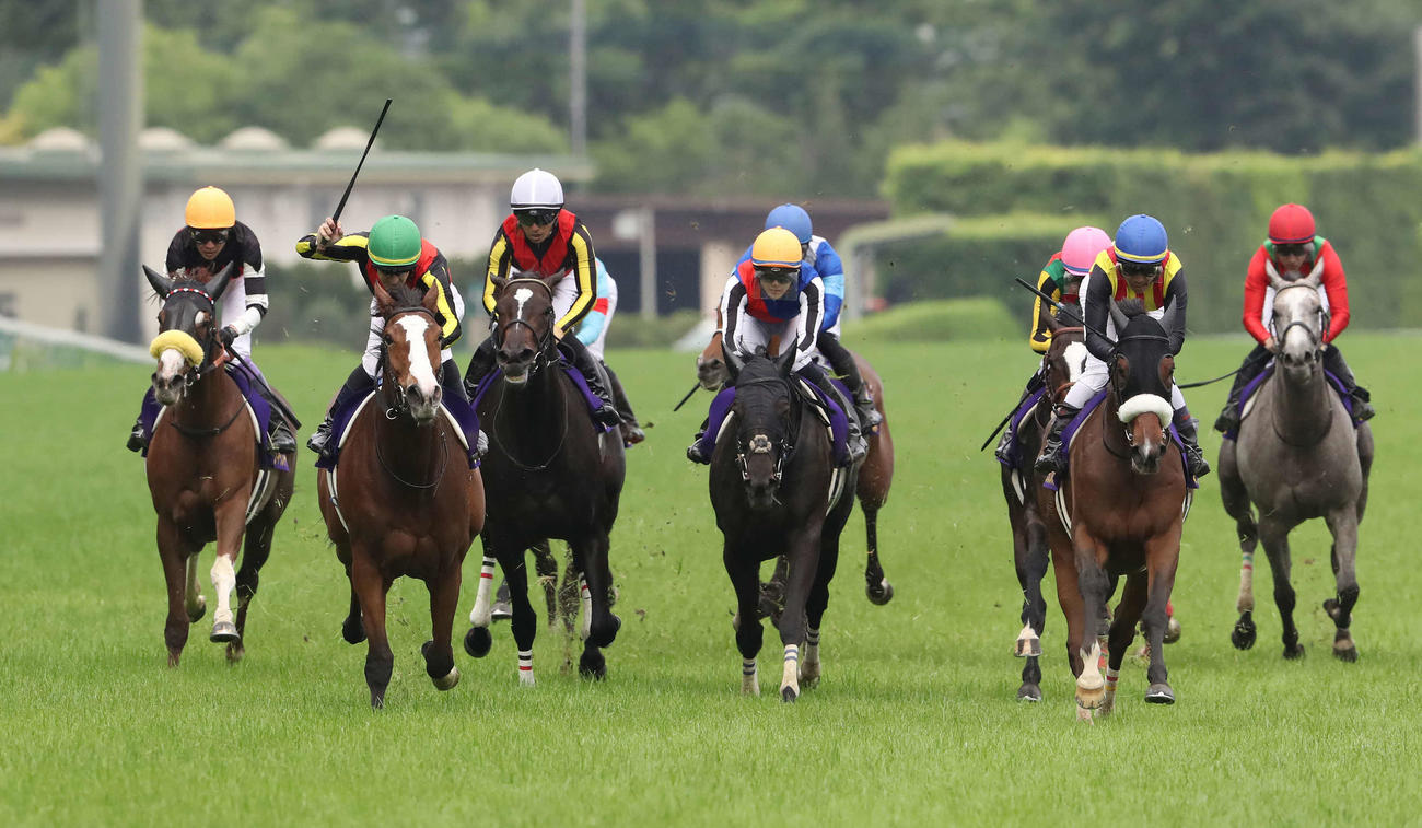 オークスを制したチェルヴィニア（左から2頭目）。右から2頭目は2着ステレンボッシュ
