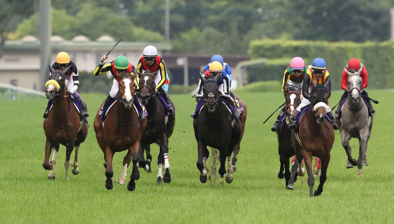 オークスを制したチェルヴィニア（左から2頭目）。右から2頭目は2着ステレンボッシュ