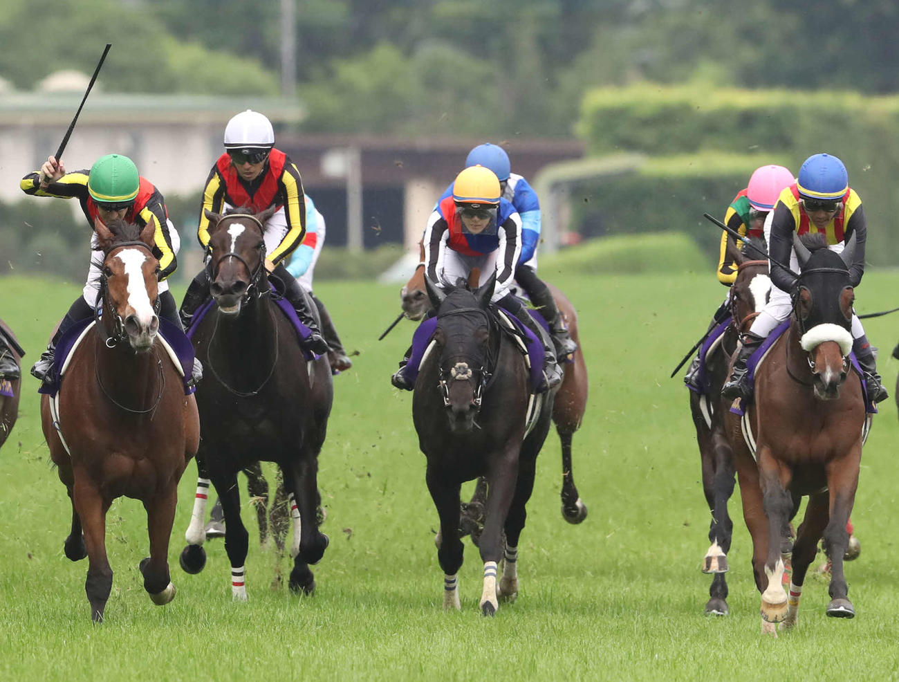 オークス3着のライトバック（中央）。右は勝ったチェルヴィニア（撮影・丹羽敏通）