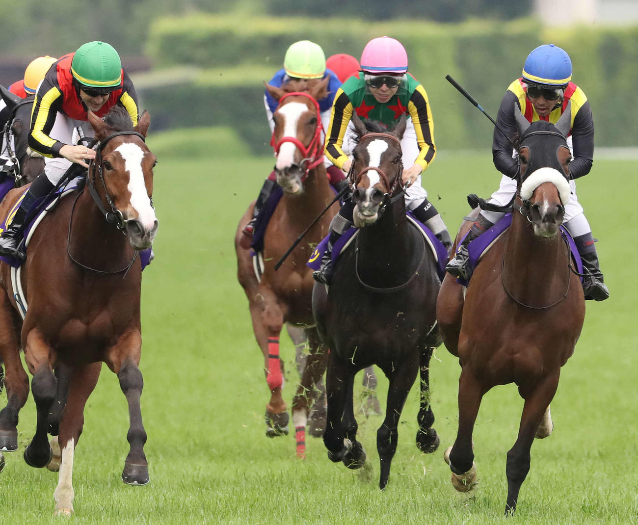 オークス5着に入ったランスオブクイーン（右から2頭目）。左は勝ったチェルヴィニア（撮影・丹羽敏通）