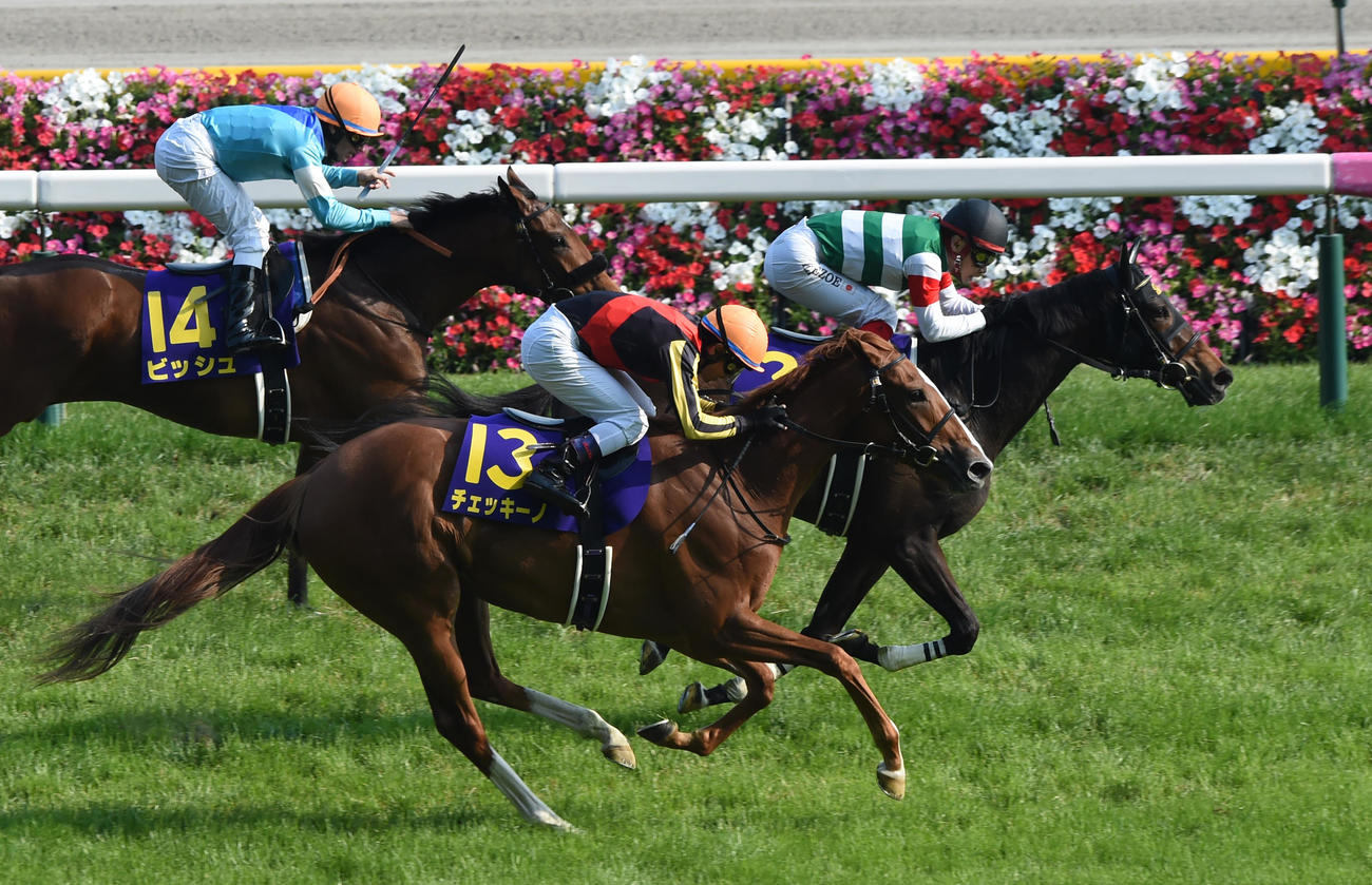 16年オークスで2着に敗れたチェッキーノ（手前）。右は勝ったシンハライト