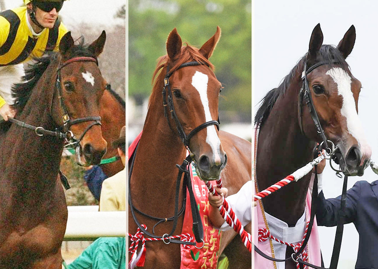 左からハッピーパス、チェッキーノ、チェルヴィニア