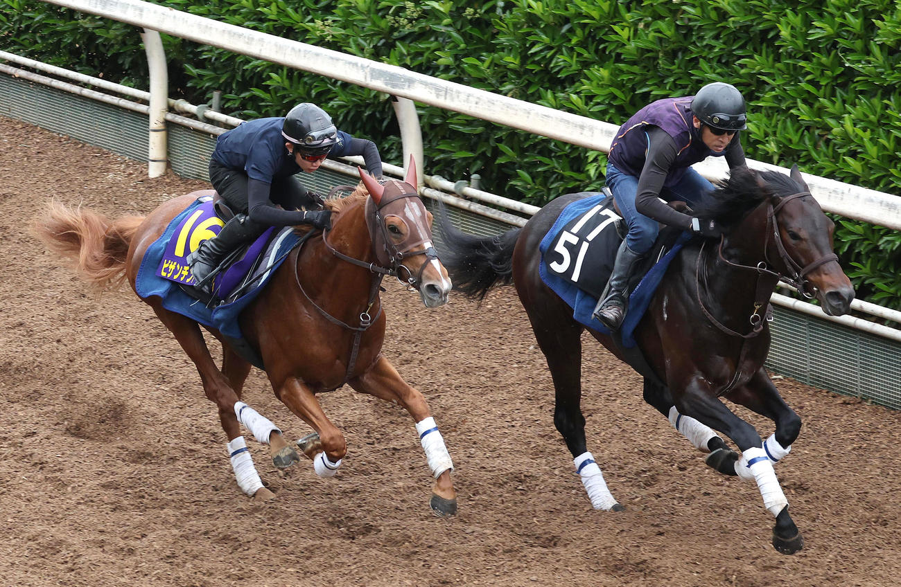 ビザンチンドリーム（左）は坂路をクリノオデッセイと併せて追い切る（撮影・白石智彦）