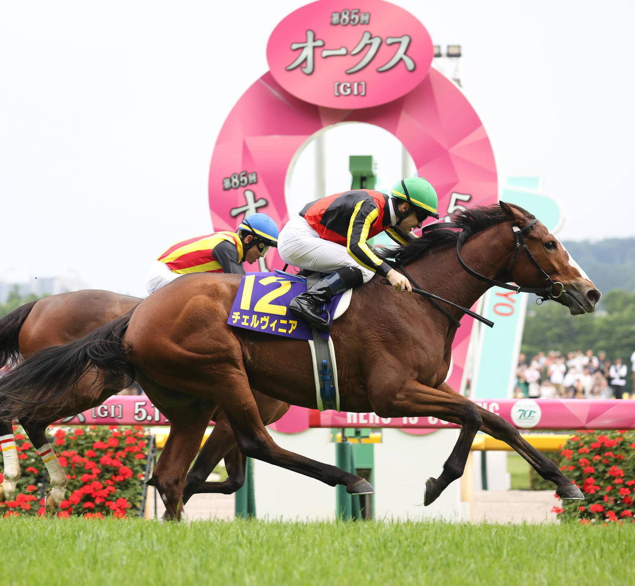 オークスを制したチェルヴィニアとルメール騎手（撮影・柴田隆二）