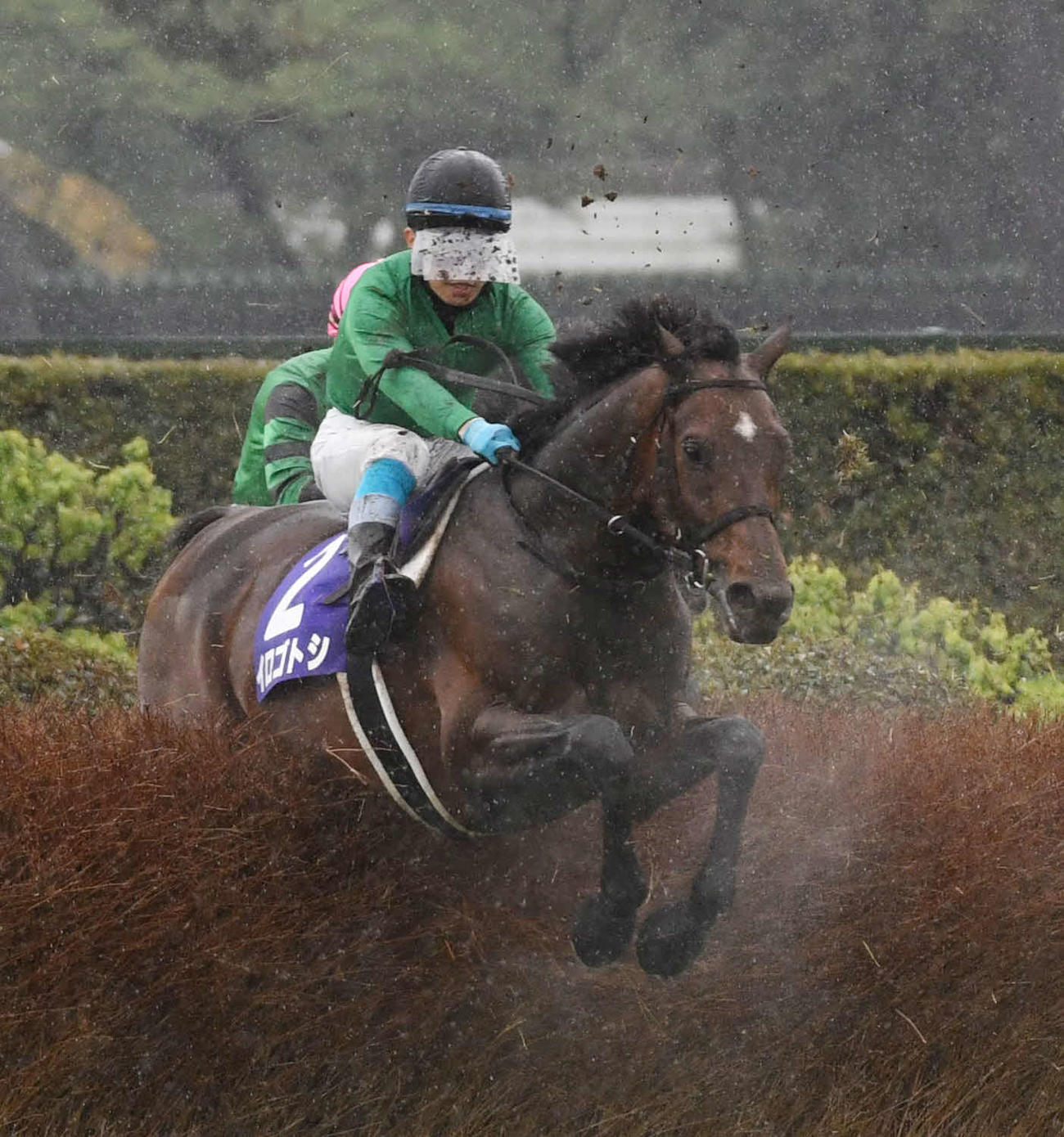 中山グランドJを制したイロゴトシと黒岩騎手が障害を飛越する（2023年4月15日撮影）