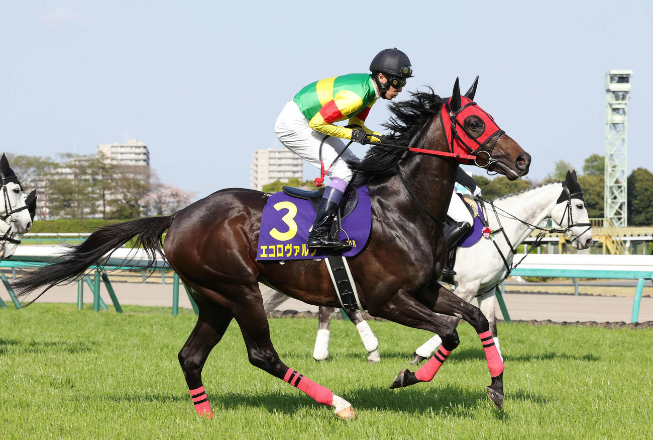 皐月賞7着に敗れたエコロヴァルツ