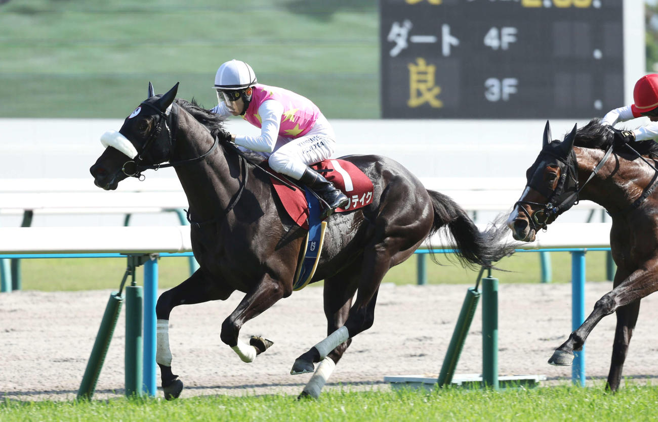 京都新聞杯を制したジューンテイク