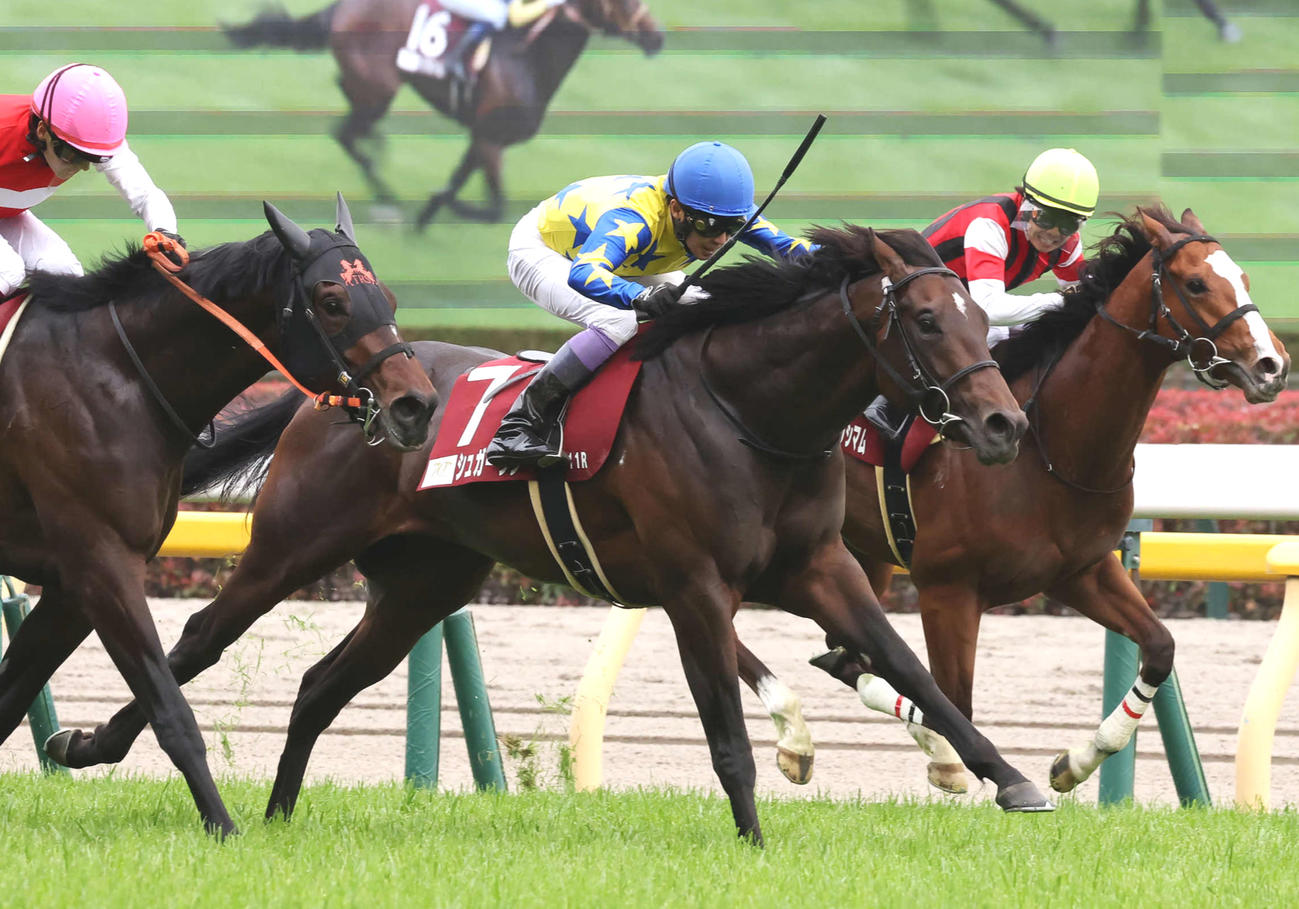 青葉賞を制したシュガークンと武豊騎手（中央）