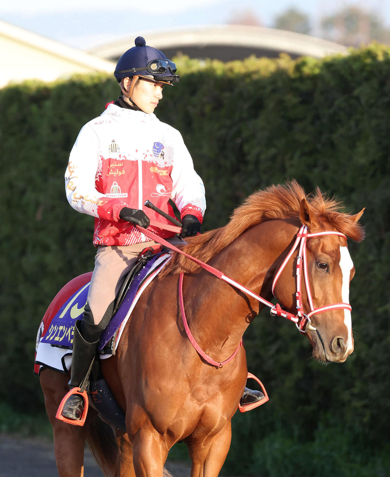 坂井騎手とシンエンペラー（2024年4月10日撮影）