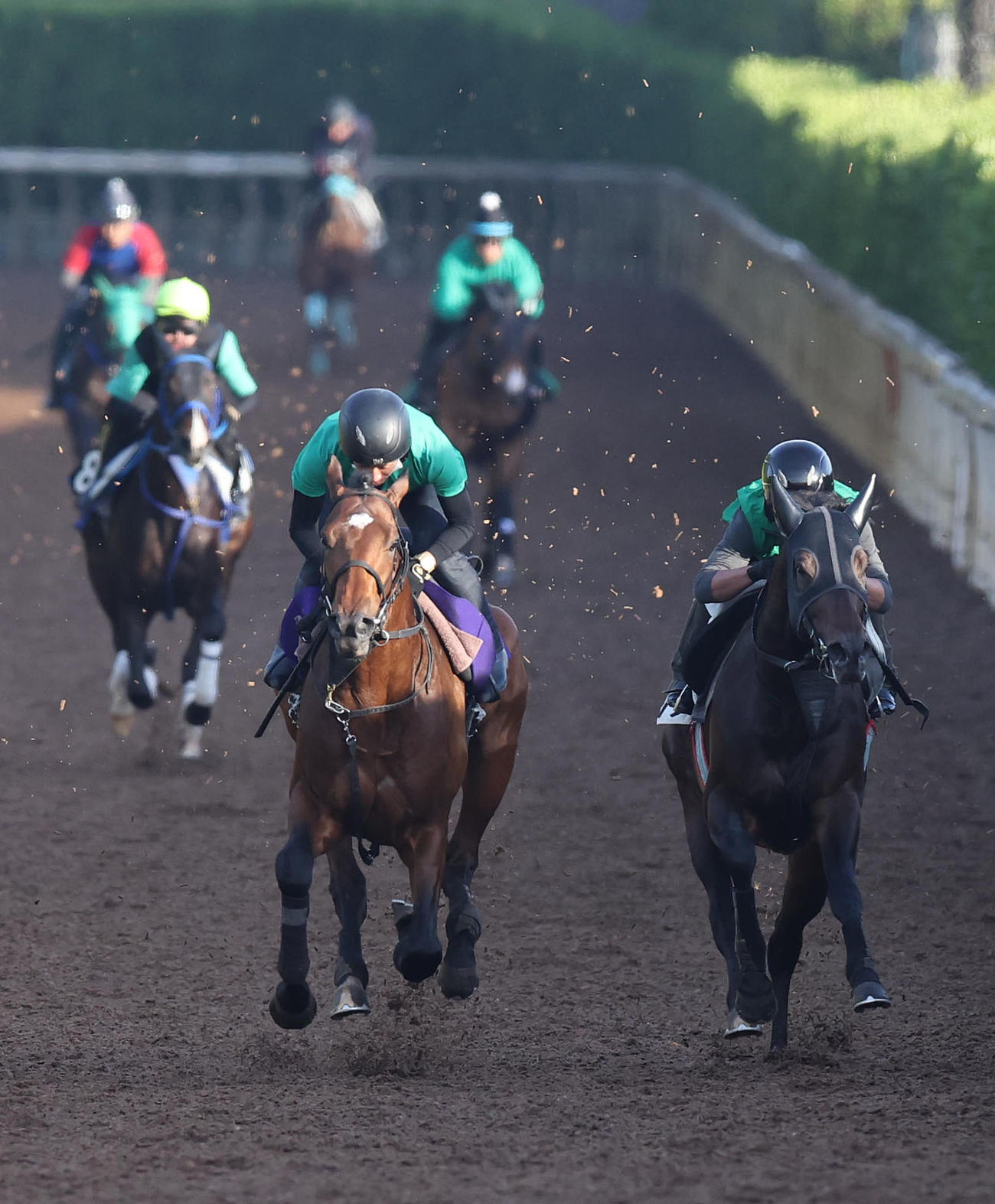坂路をサンライズプルート（右）と併せ馬で追い切るサンライズジパング（撮影・白石智彦）
