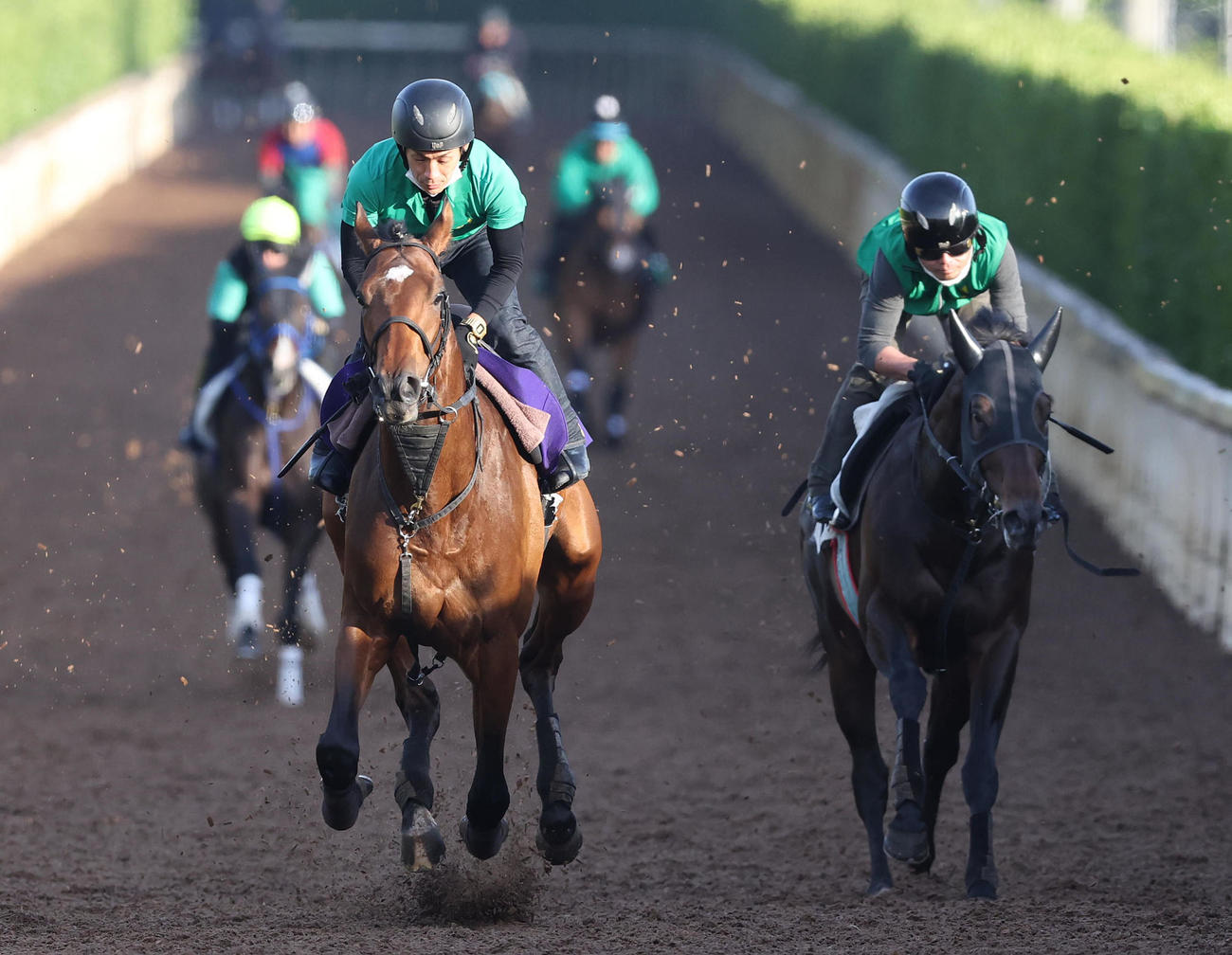 坂路をサンライズプルート（右）と併せ馬で追い切るサンライズジパング（撮影・白石智彦）