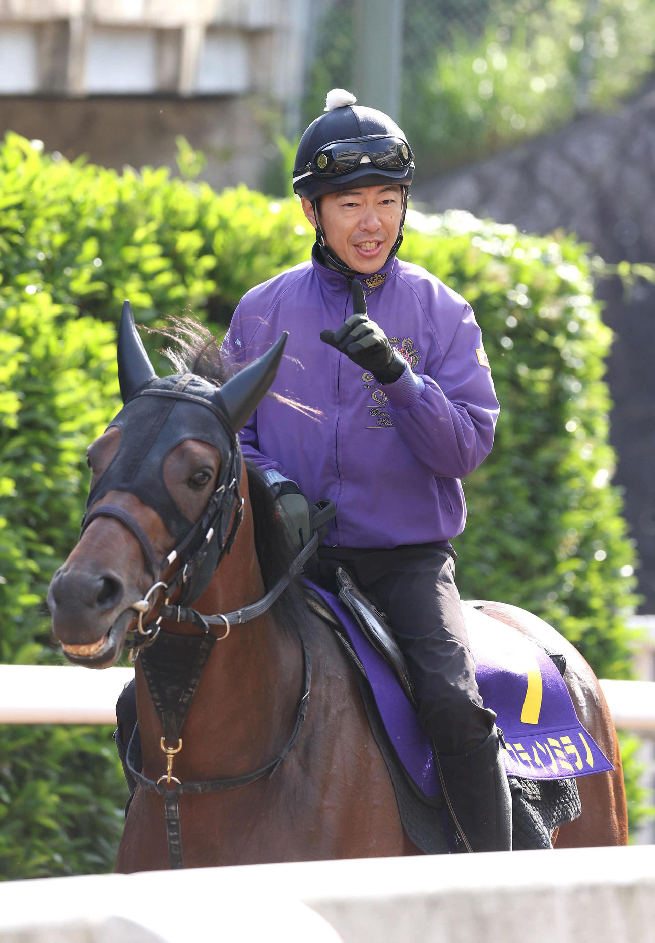 ジャスティンミラノの調教をつける藤本助手（撮影・白石智彦）