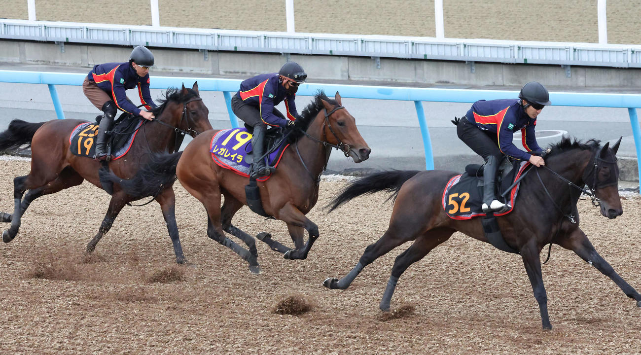 レガレイラ（中央）は美浦ウッドを3頭併せで追い切られた（撮影・丹羽敏通）