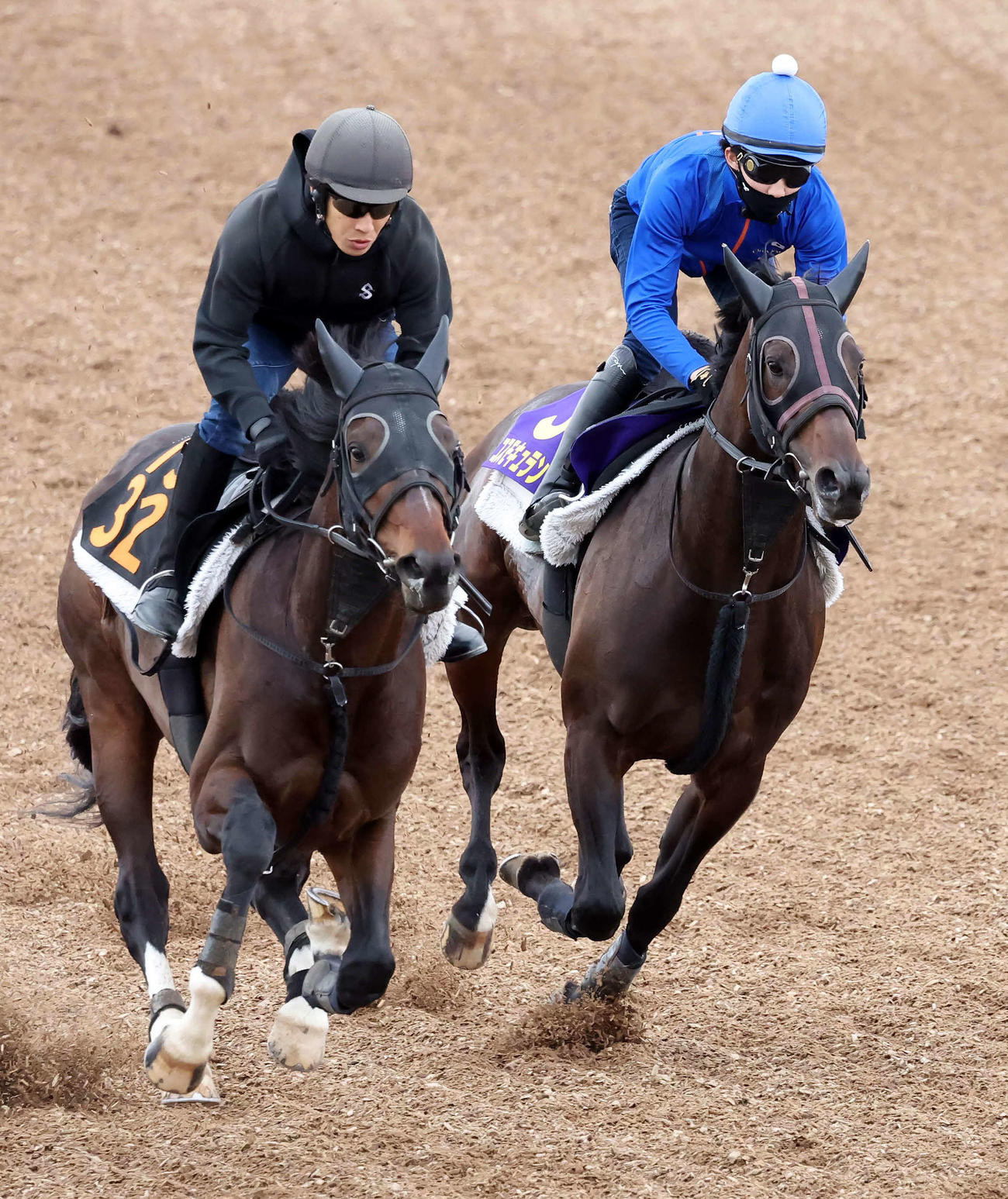 コスモキュランダ（右）は美浦ウッドでレトロタイプと併せて追い切られた（撮影・丹羽敏通）