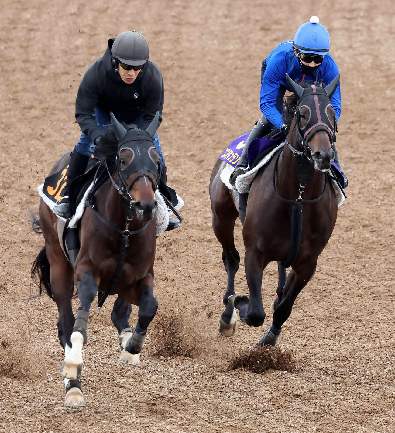 コスモキュランダ（右）は美浦ウッドでレトロタイプと併せて追い切られた（撮影・丹羽敏通）