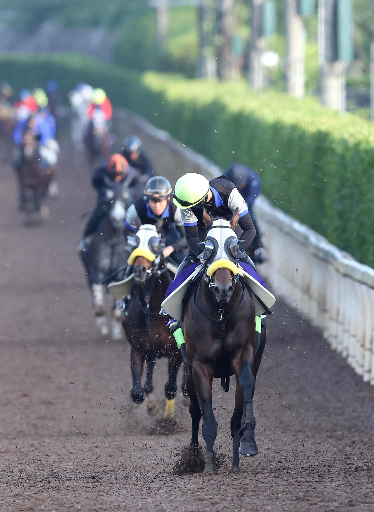 吉村騎手を背に坂路を単走で追い切るシュガークン（撮影・白石智彦）