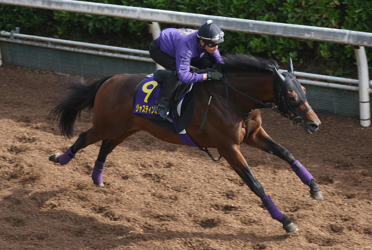 坂路で追い切るジャスティンミラノ