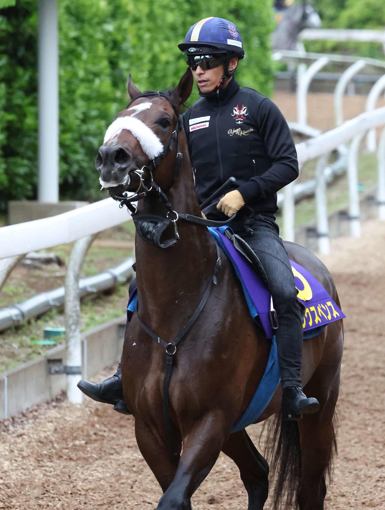 美浦坂路で最終追い切りを行ったシックスペンスと川田騎手（撮影・丹羽敏通）