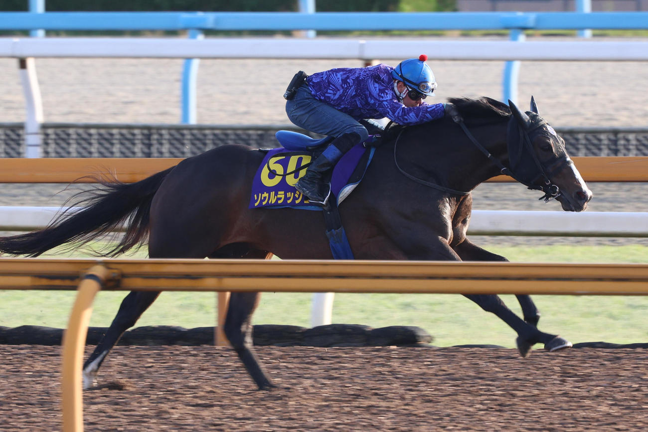 水口優也騎手を背に（レースはモレイラ）Cウッドコースで速いラップを刻んだソウルラッシュ