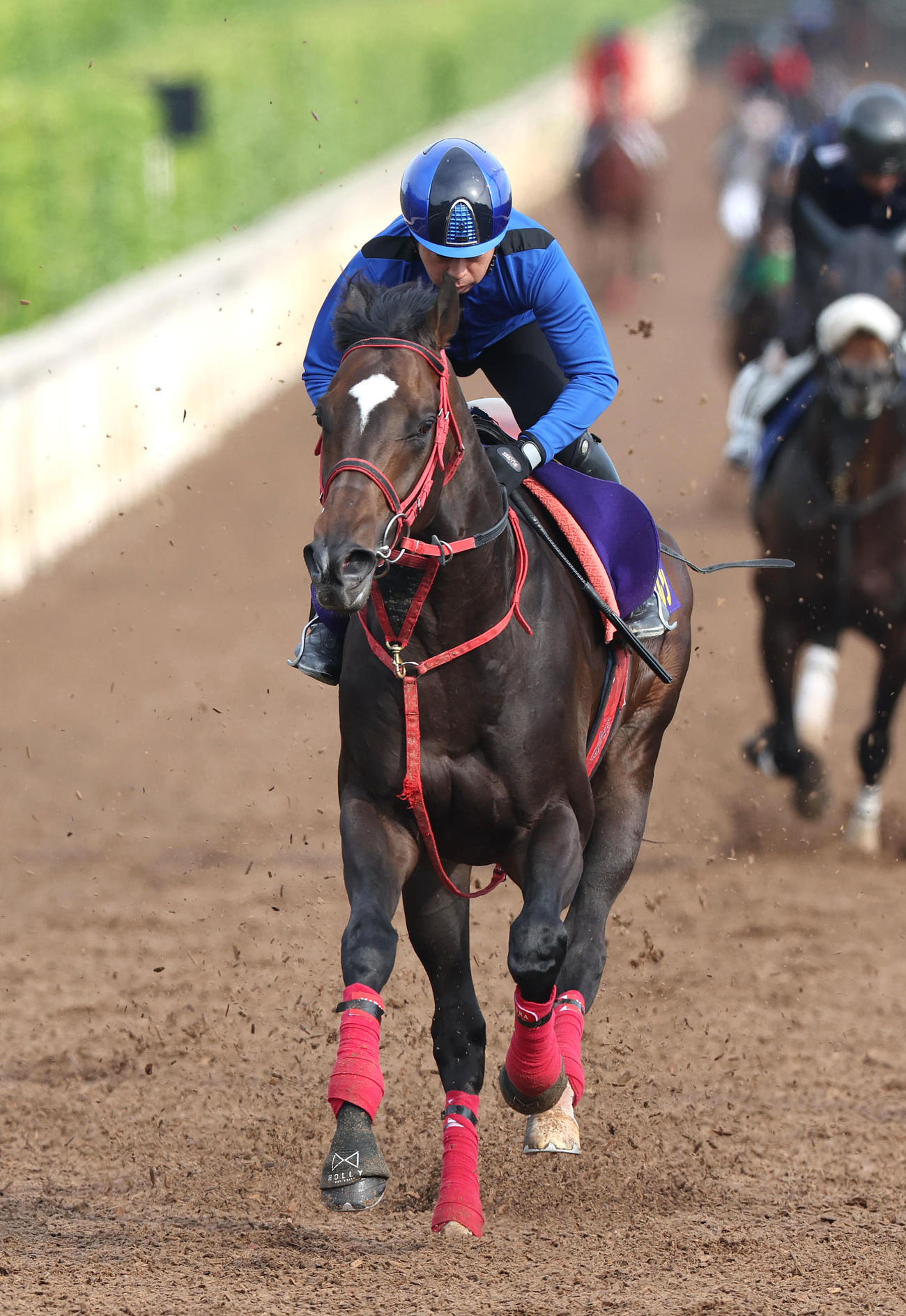 岩田康騎手を背に坂路を単走で追い切るエコロヴァルツ（撮影・白石智彦）