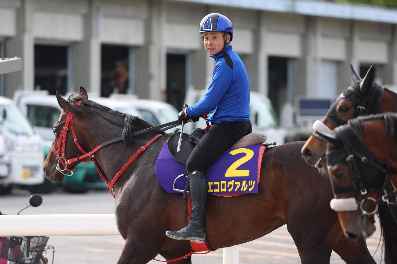 エコロヴァルツで頂点に挑む岩田康誠騎手