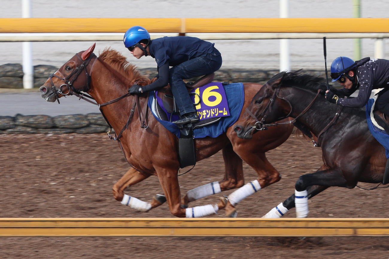 国分優作騎手が騎乗し（レースは西村淳）、Cウッドコース併せ馬に先着するビザンチンドリーム
