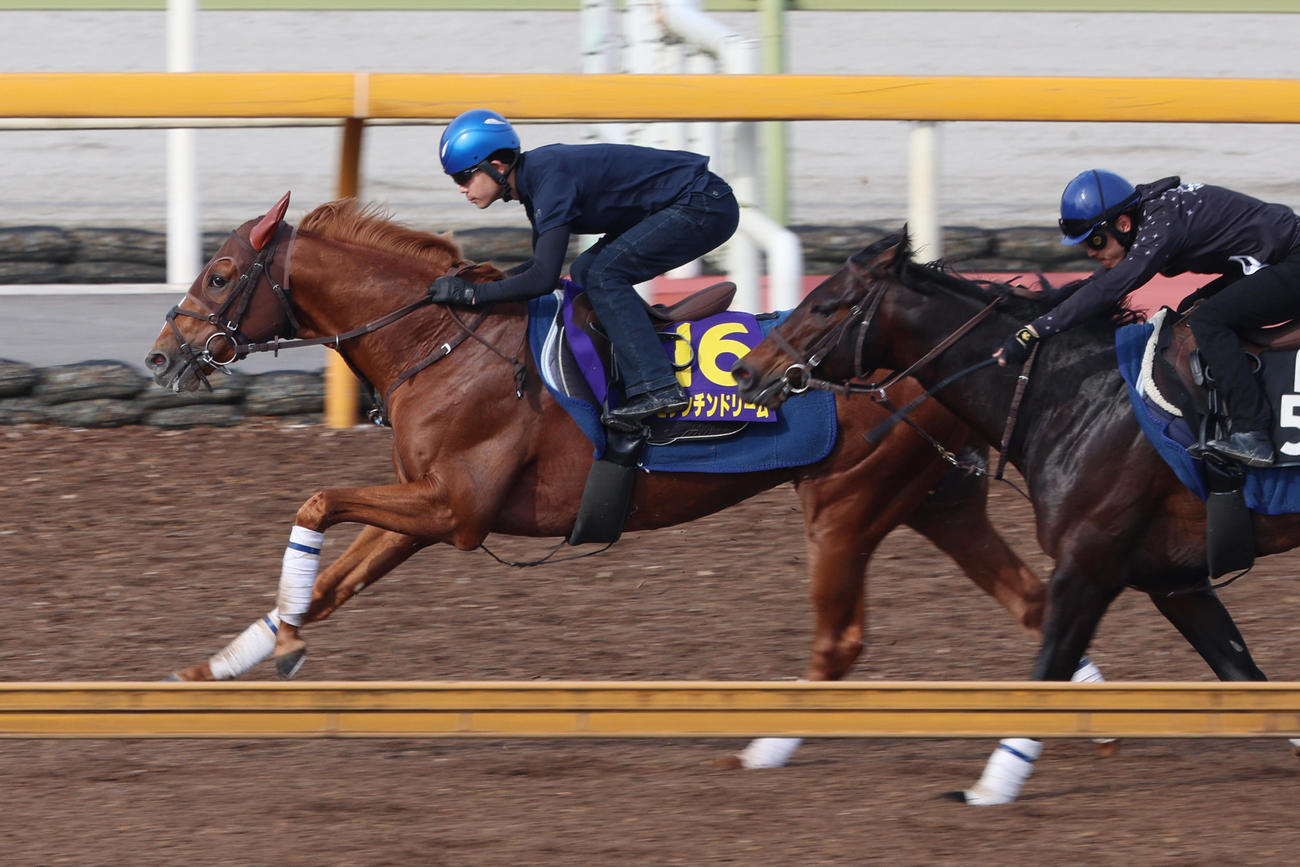国分優作騎手が騎乗し（レースは西村淳）、Cウッドコース併せ馬に先着するビザンチンドリーム