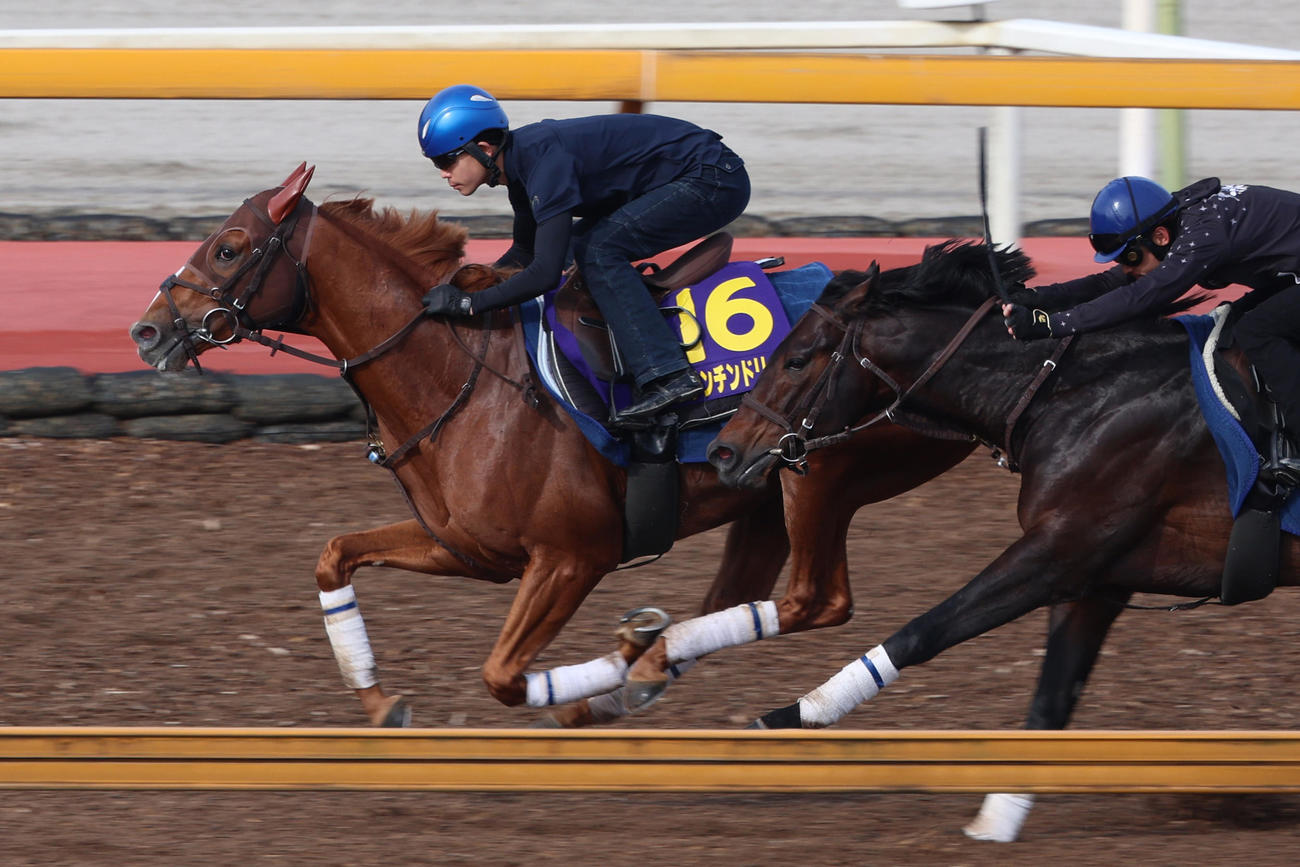 国分優作騎手が騎乗し（レースは西村淳）、Cウッドコース併せ馬に先着するビザンチンドリーム