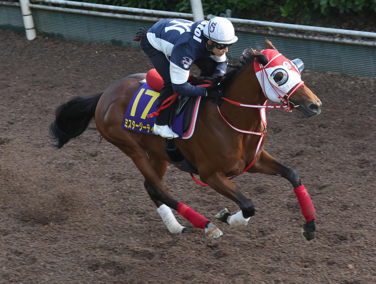 藤岡騎手を背に坂路で追い切るミスタージーティー