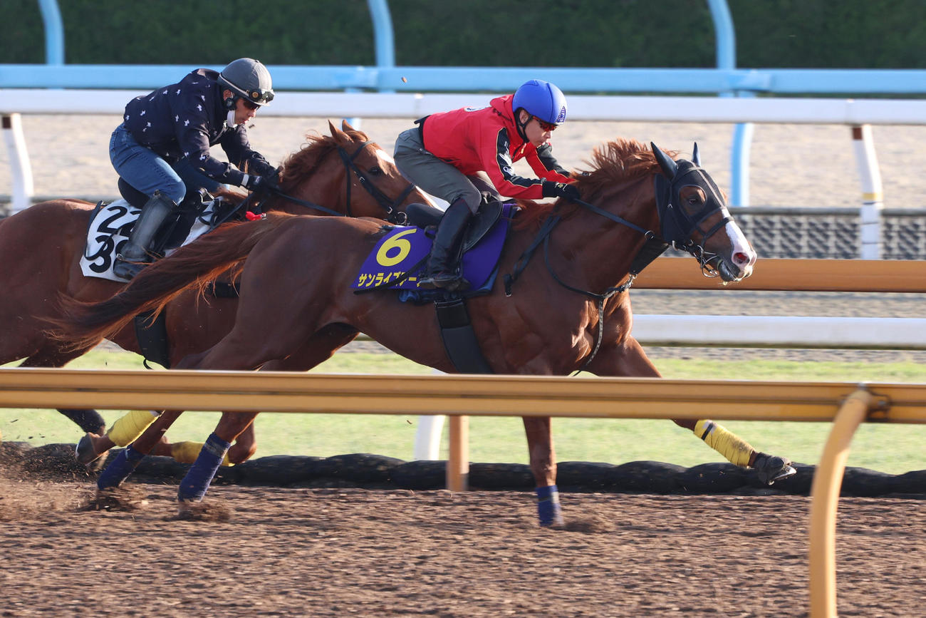 池添謙一騎手が騎乗し、Cウッドコース併せ馬に先着するサンライズアース（右）