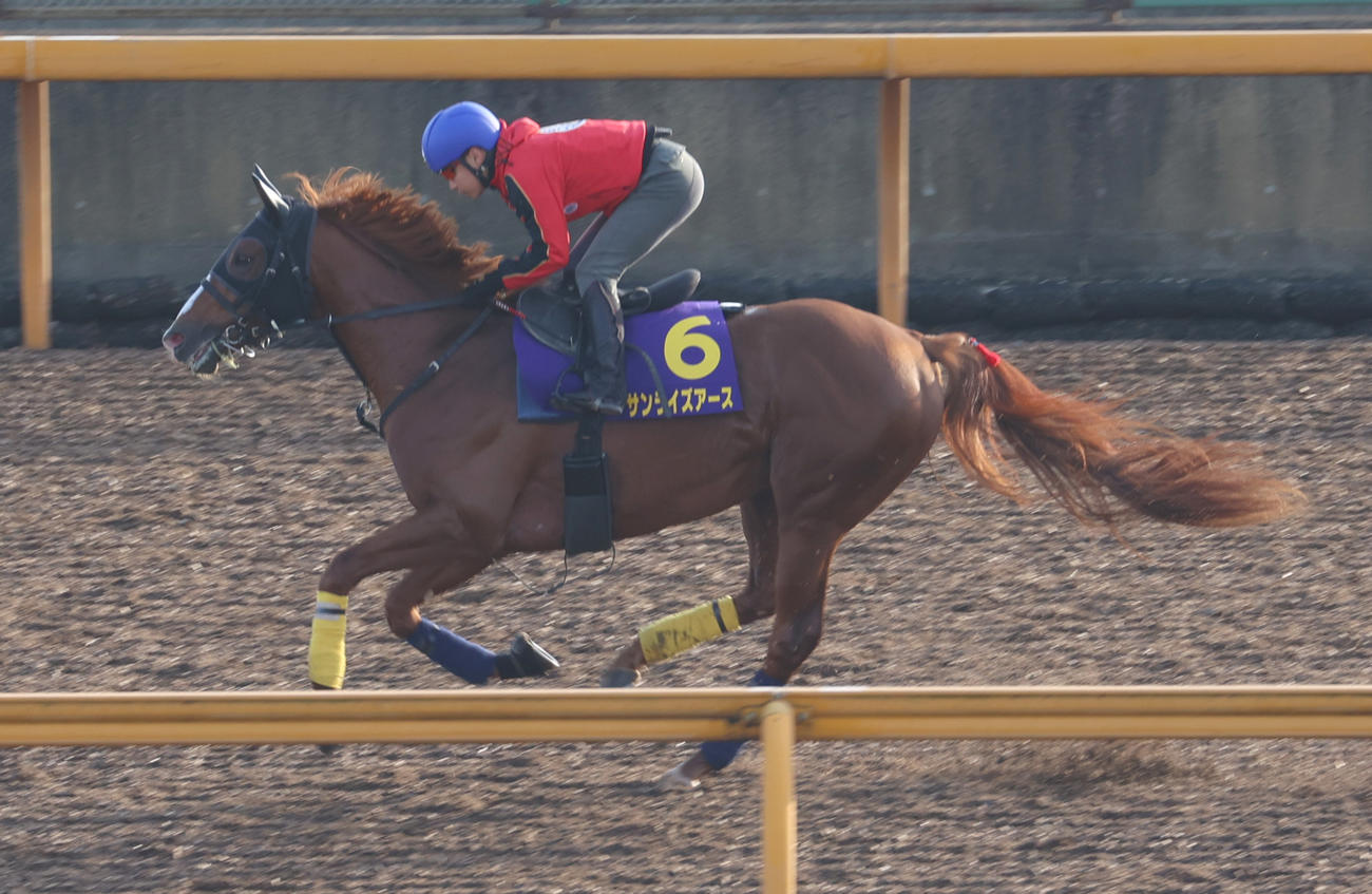 池添騎手を背にCウッドコースで追い切るサンライズアース